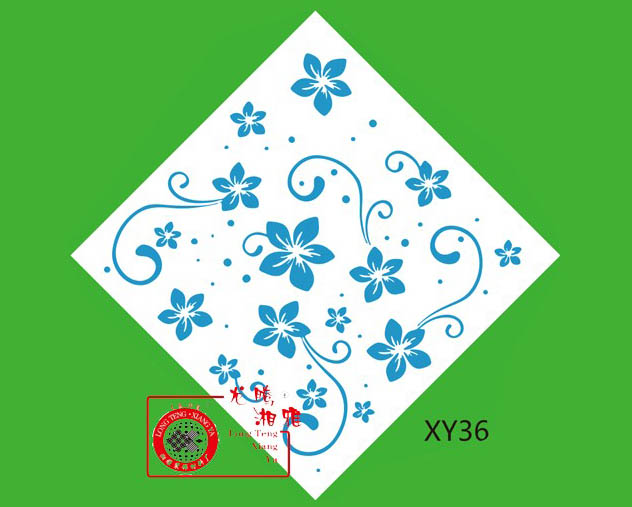 XY36