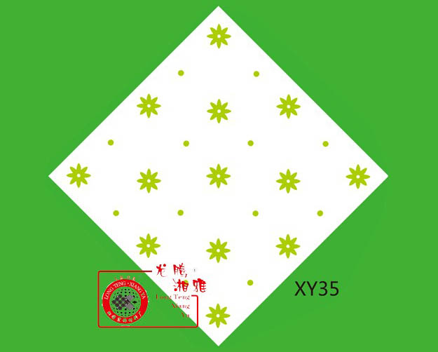 XY35